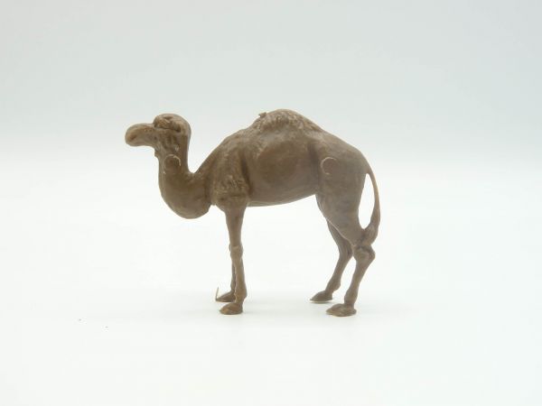 Heinerle Manurba Young Camel