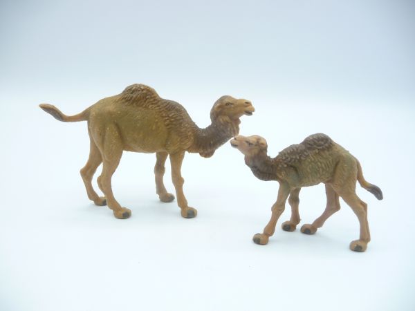 VEB Plaho Camel with young