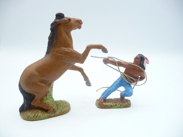 Marolin Indian catching wild horses