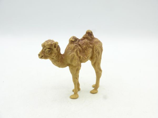 Britains Dromedary / Bactrian camel
