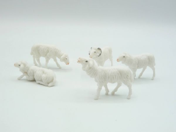 VEB Plaho Group of white sheep