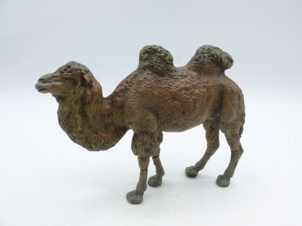 Bactrian camel - see photos