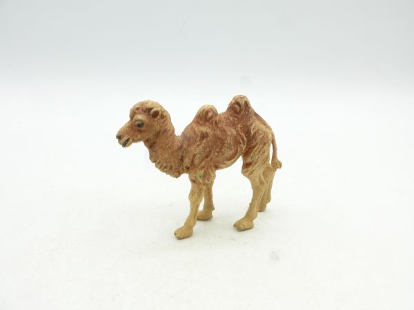 Britains Dromedary / Bactrian camel, young