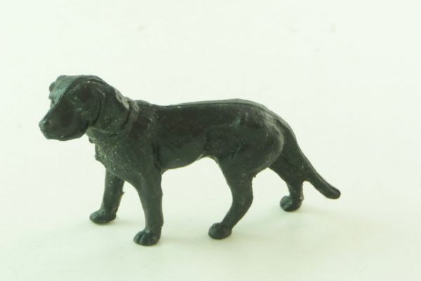 Labrador, black (most likely Tietze)
